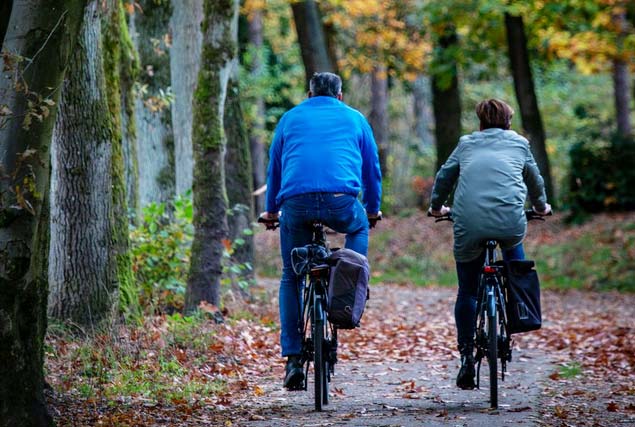 Vakantiewoning in Gelderland fietsen